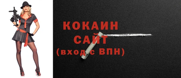 индика Арсеньев