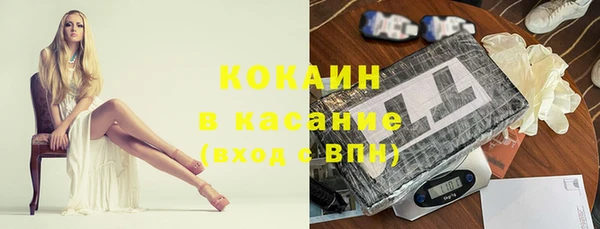 гидра Аркадак