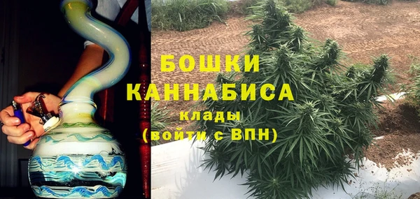 индика Арсеньев