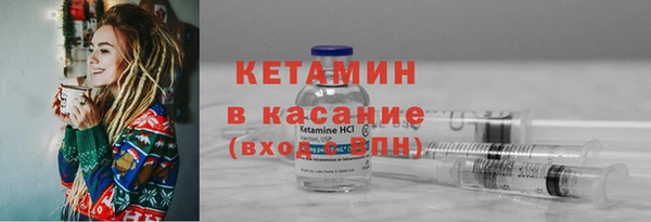 индика Арсеньев