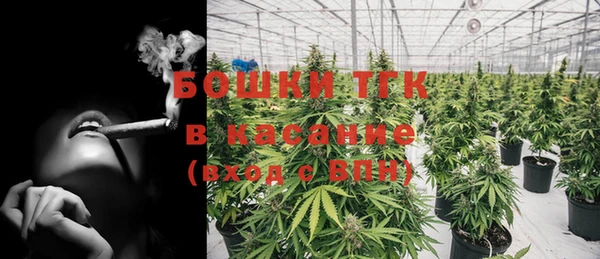 гидра Аркадак