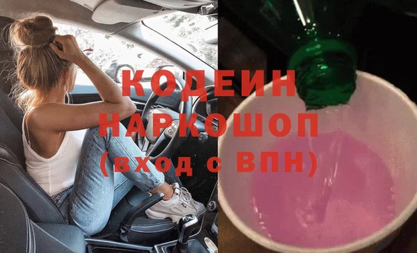 индика Арсеньев