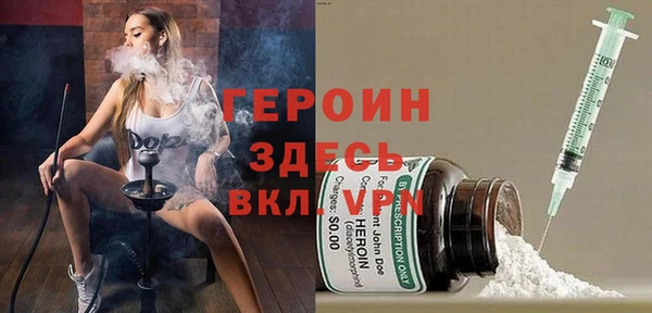 индика Арсеньев