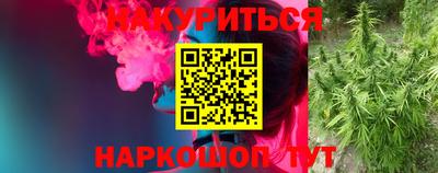 крисы Бузулук