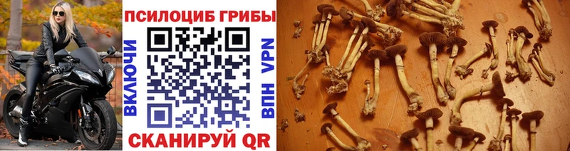 Галлюциногенные грибы MAGIC MUSHROOMS  Энгельс 