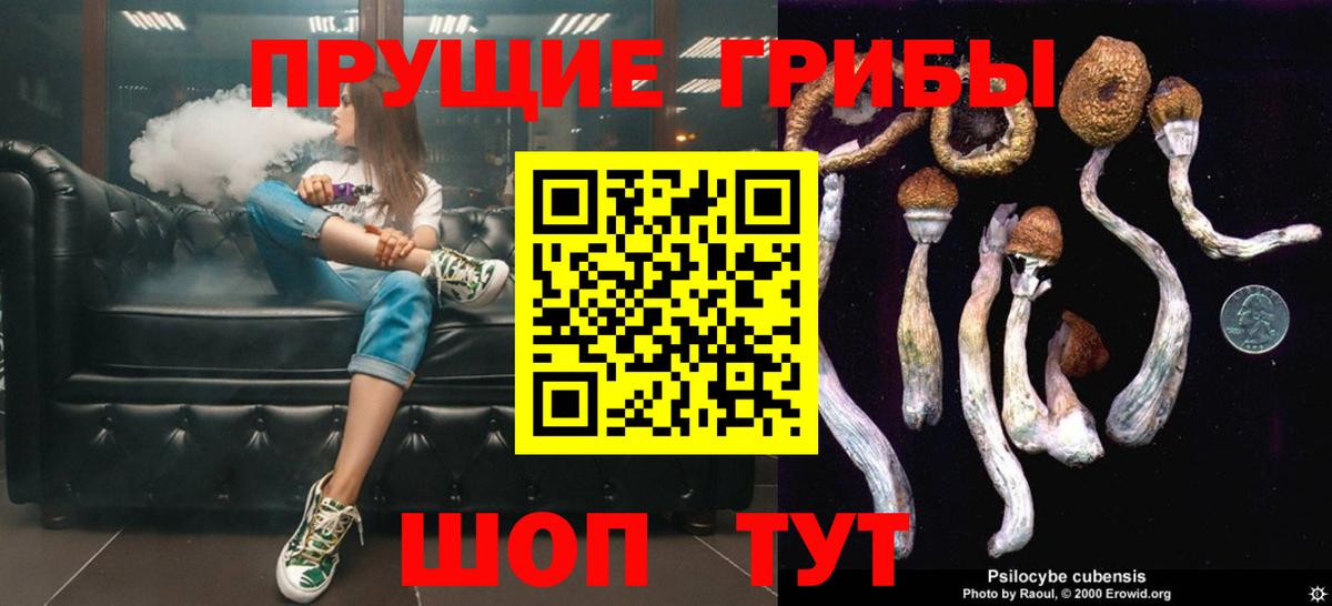 Псилоцибиновые грибы Psilocybine cubensis Энгельс