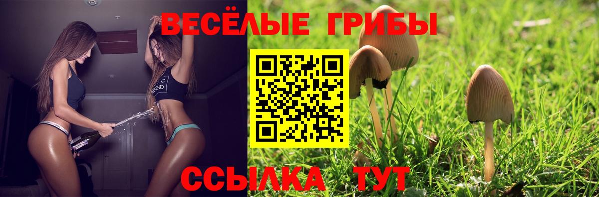 MDMA Энгельс