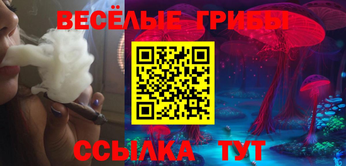 Галлюциногенные грибы ЛСД  Энгельс  Псилоцибиновые грибы ЛСД 